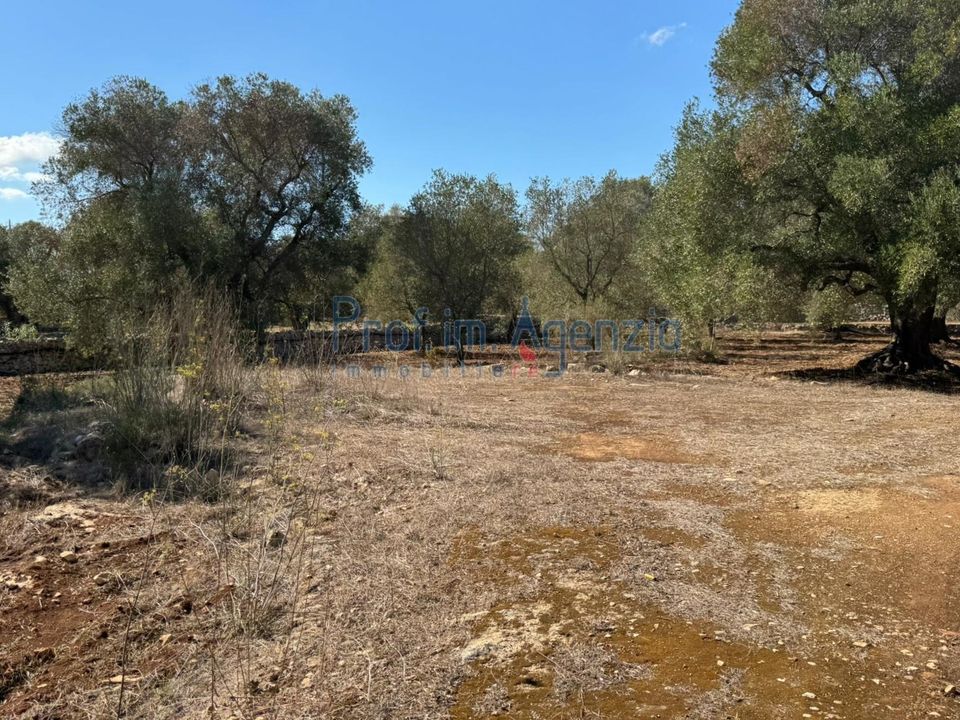 Helårsgrund i Carovigno, Brindisi - foto 2